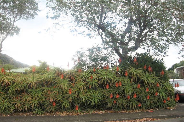 Photo of property in 6 Smith Street, Paekakariki, 5034