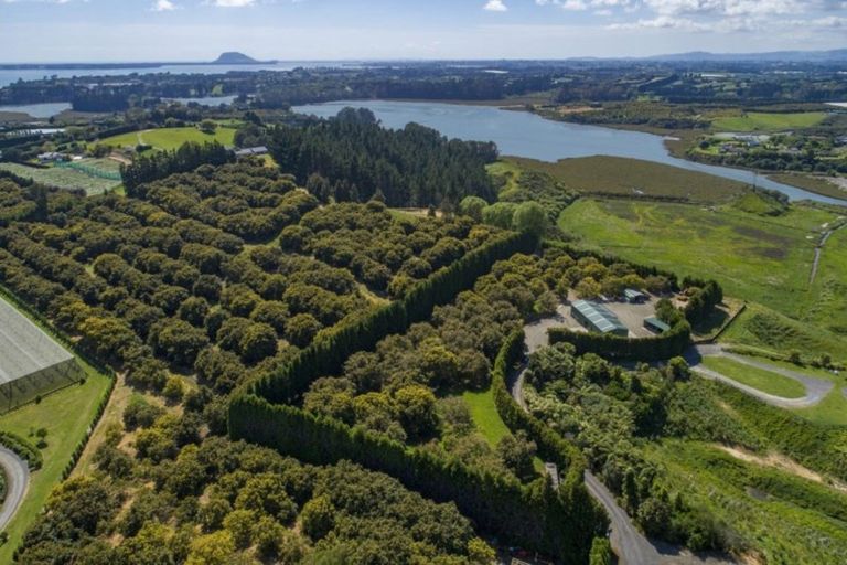 Photo of property in 56g Plummers Point Road, Whakamarama, Tauranga, 3172