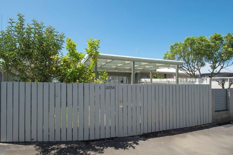 Photo of property in 225b Fifteenth Avenue, Tauranga South, Tauranga, 3112