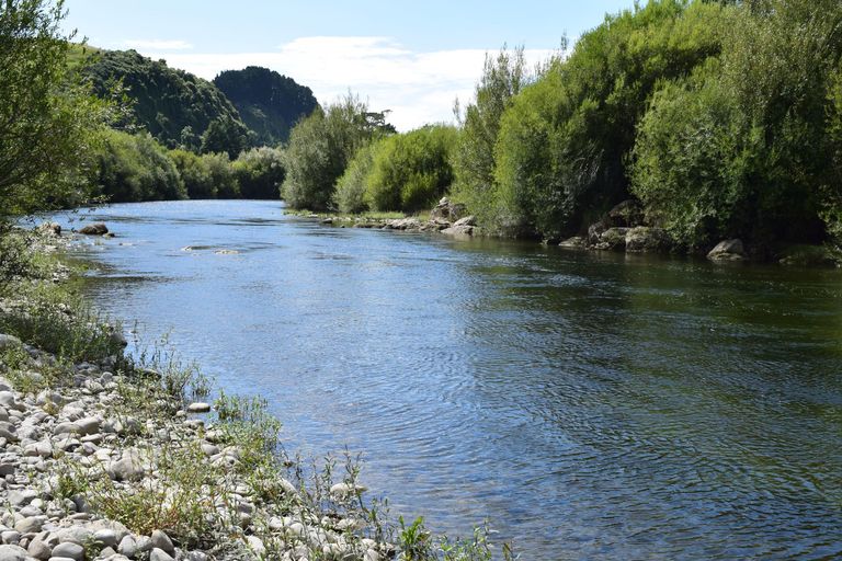 Photo of property in 214 Pukemiku Road, Mangamutu, Pahiatua, 4983