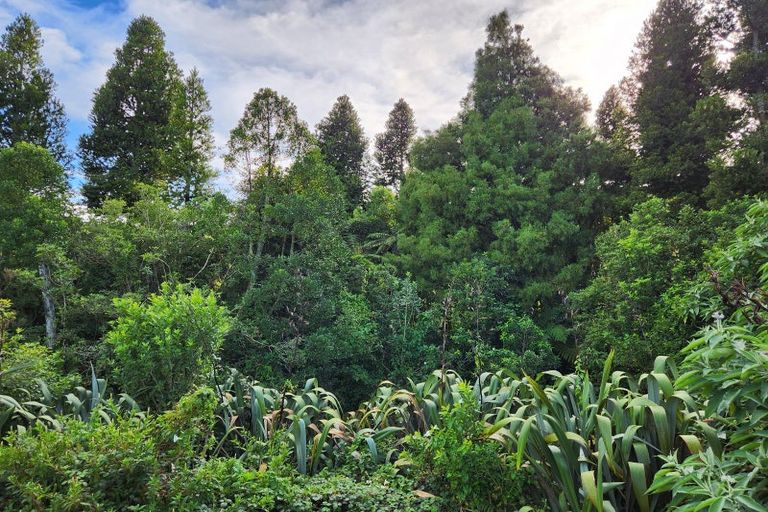 Photo of property in 144 Ackworth Road, Lepperton, New Plymouth, 4373