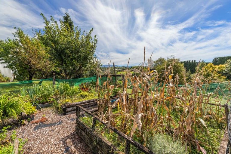 Photo of property in 60 Elmwood Road, Aongatete, Katikati, 3178