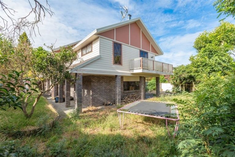 Photo of property in 91 Crosby Road, Chartwell, Hamilton, 3210