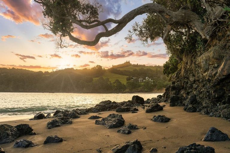 Photo of property in 57 Grand View Road, Leigh, 0985