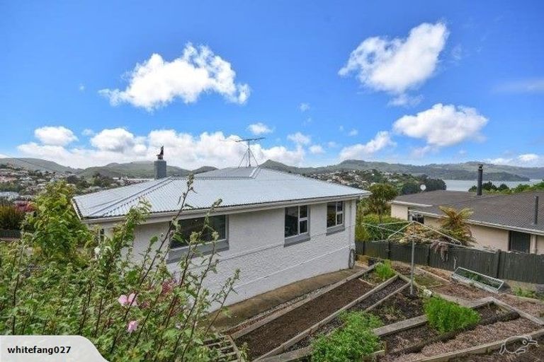 Photo of property in 10 Kohi Place, Port Chalmers, 9023