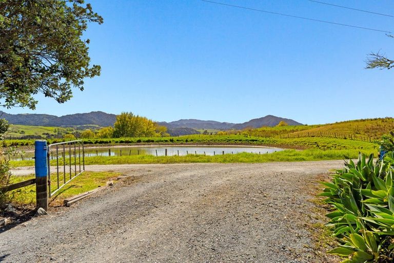 Photo of property in 301 Ranganui Road, Kaiwaka, 0573