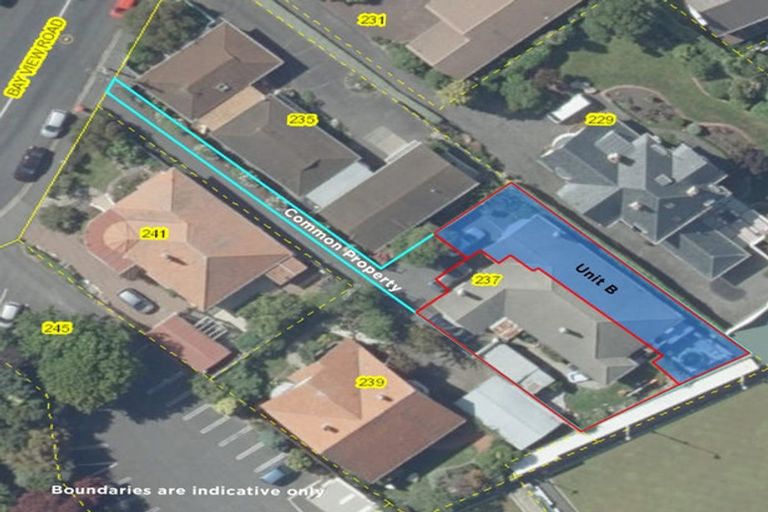 Photo of property in 237b Bay View Road, Saint Clair, Dunedin, 9012