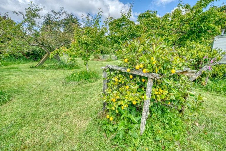 Photo of property in 660 Taylorville Road, Taylorville, Greymouth, 7805