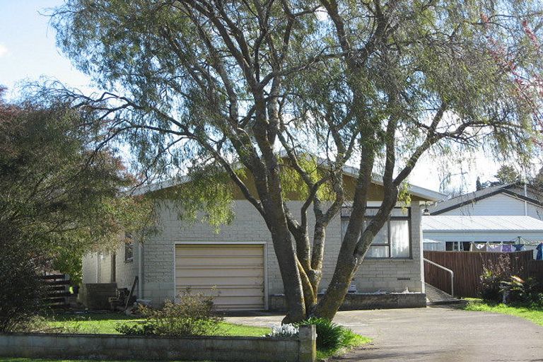 Photo of property in 38 Porangahau Road, Waipukurau, 4200
