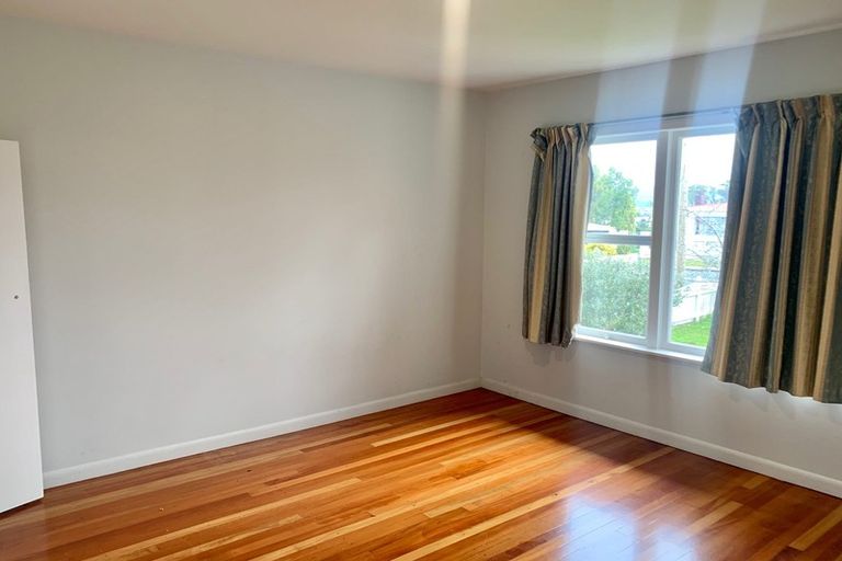 Photo of property in 19 Norcross Avenue, Henderson, Auckland, 0612