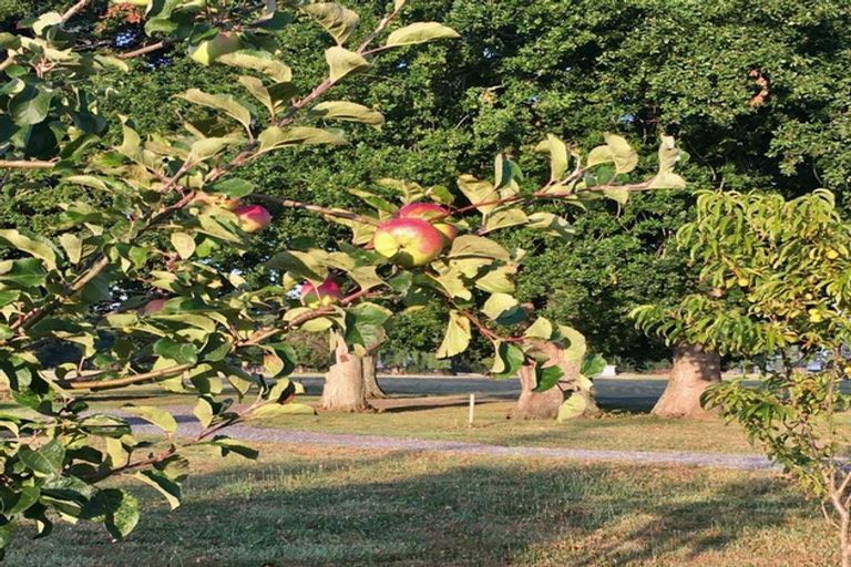 Photo of property in 3287 State Highway 26, Morrinsville, 3374