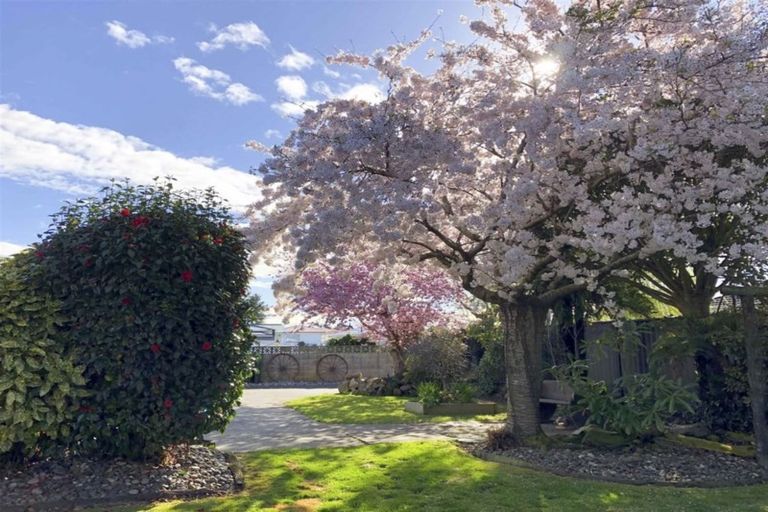 Photo of property in 251 Talbot Street, Hargest, Invercargill, 9810