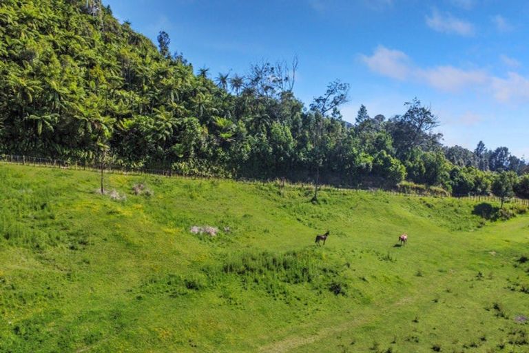 Photo of property in 109 Mcivor Road, Rotoma, Whakatane, 3192