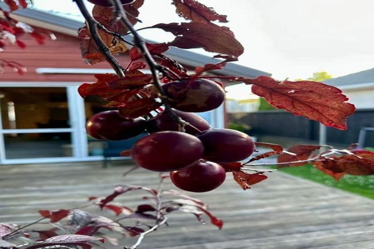 Photo of property in 63 Awamutu Grove, Waiwhetu, Lower Hutt, 5010