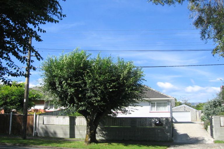Photo of property in 99 Mcleod Street, Elderslea, Upper Hutt, 5018