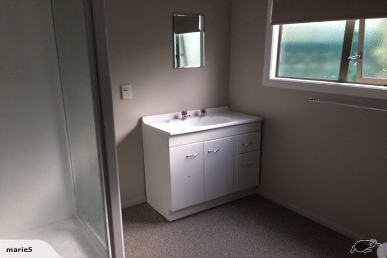 Photo of property in 253 Courtenay Street, Strandon, New Plymouth, 4312