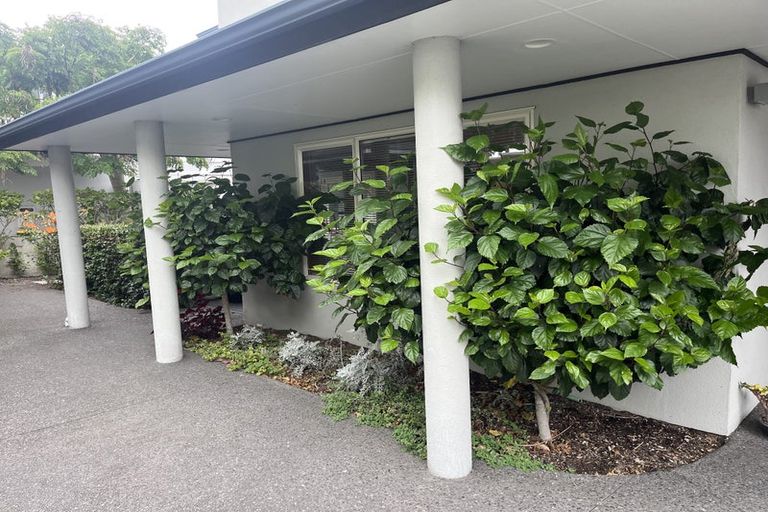 Photo of property in 92b Kulim Avenue, Otumoetai, Tauranga, 3110