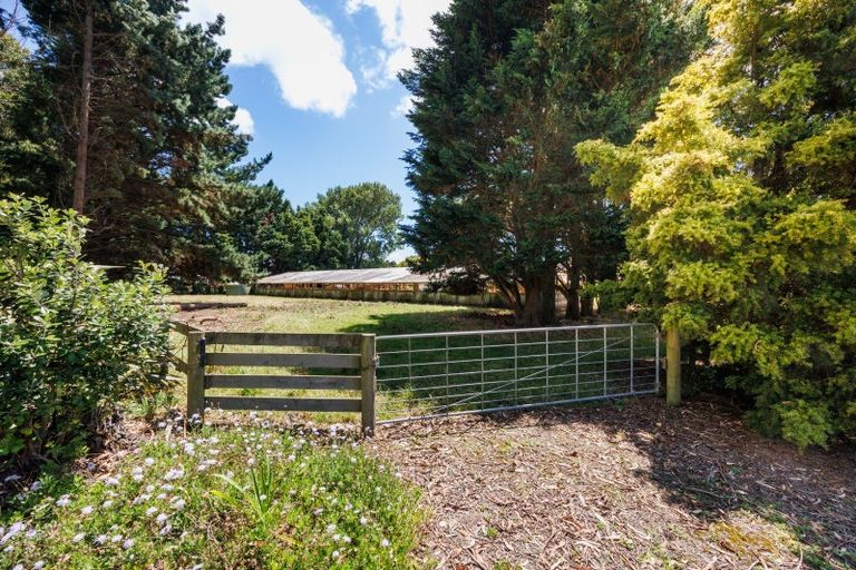 Photo of property in 1371 Kairanga Bunnythorpe Road, Kairanga, Palmerston North, 4475