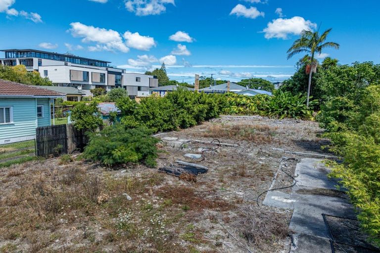Photo of property in 24 Moa Road, Point Chevalier, Auckland, 1022