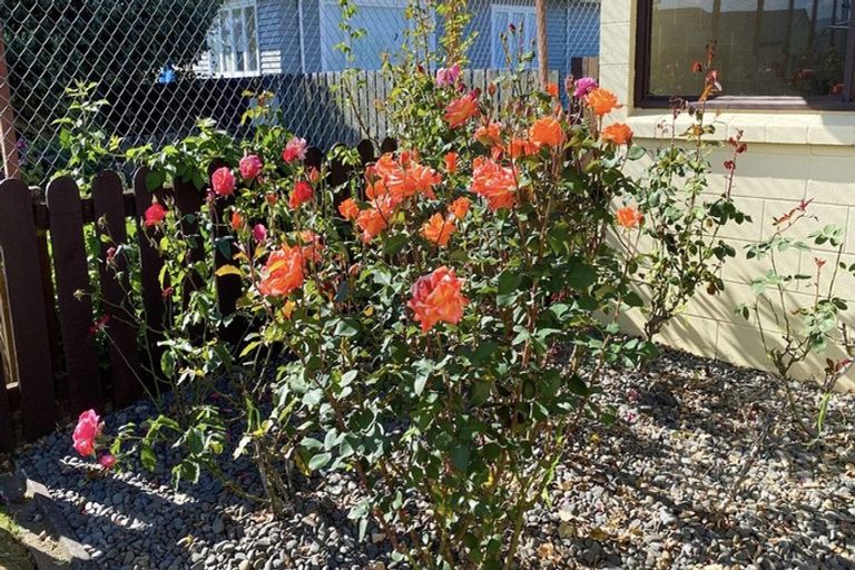 Photo of property in 15 Central Street, Matamata, 3400