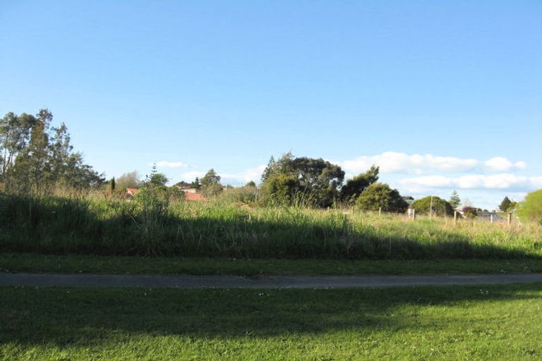 Photo of property in 2 Brownlie Crescent, Huntly, 3700