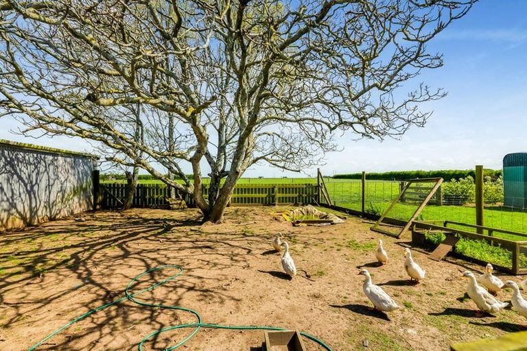 Photo of property in 43 Quinns Road, Normanby, Hawera, 4673