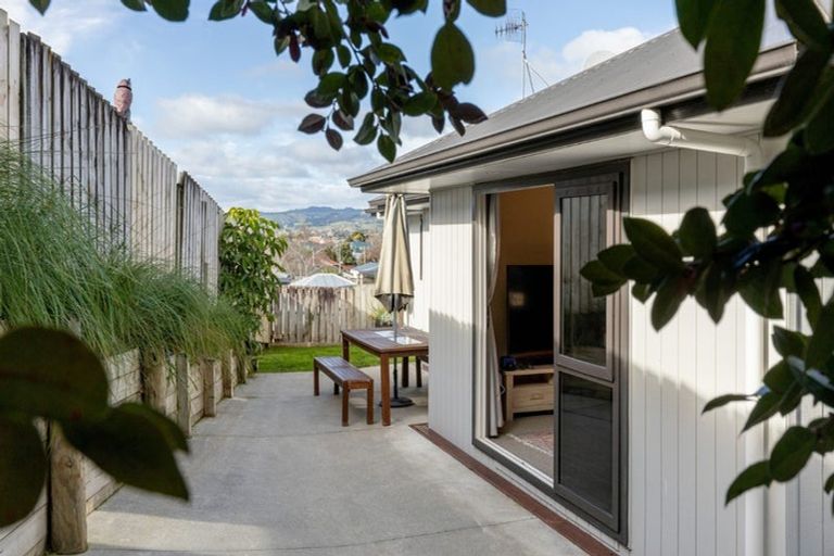 Photo of property in 20a Lincoln Terrace, Gate Pa, Tauranga, 3112