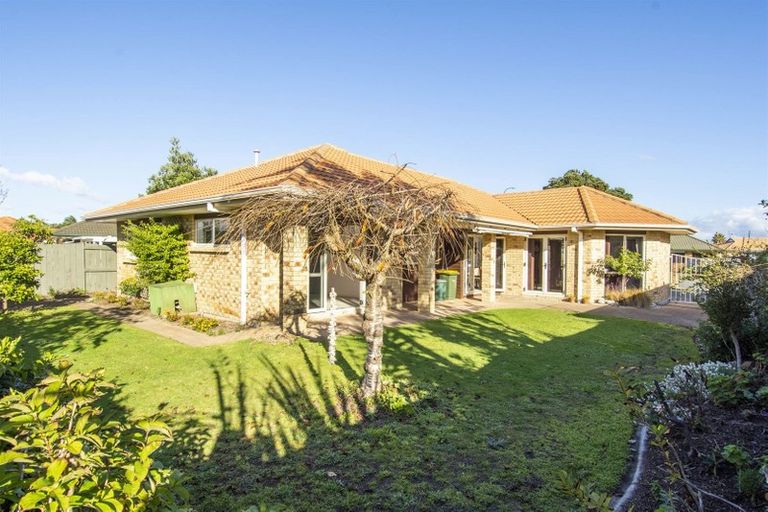 Photo of property in 117 Gloucester Road, Mount Maunganui, 3116