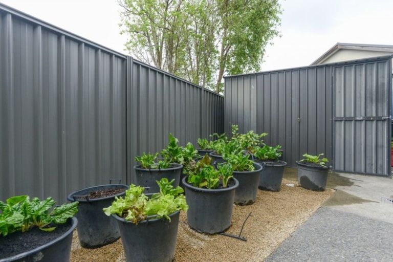 Photo of property in 9 Palliser Place, Poraiti, Napier, 4112