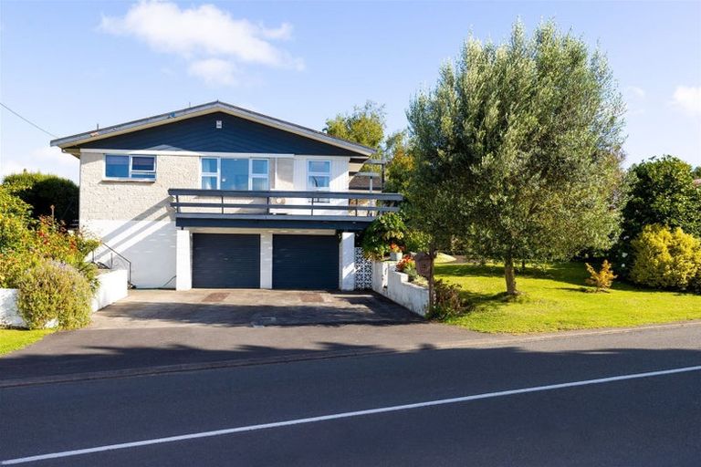 Photo of property in 31 Tanner Street, Havelock North, 4130