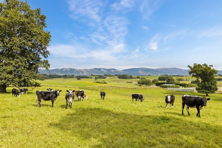 Photo of property in 302 Timaru Road, Waimate, 7978