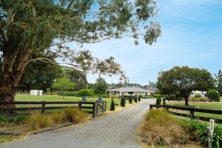Photo of property in 277 Ridgens Road, Greendale, Christchurch, 7671