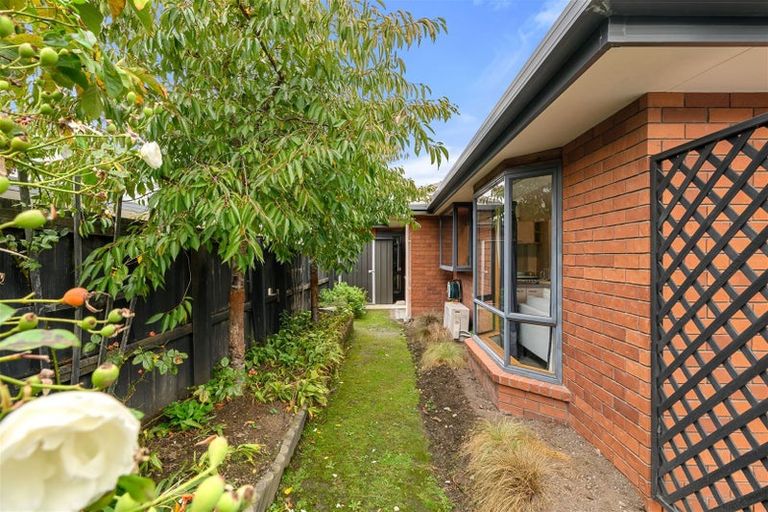 Photo of property in 107c Edinburgh Street, Spreydon, Christchurch, 8024