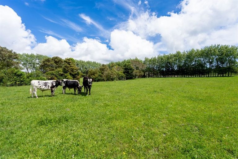 Photo of property in 1021 Old North Road, Waimauku, 0882