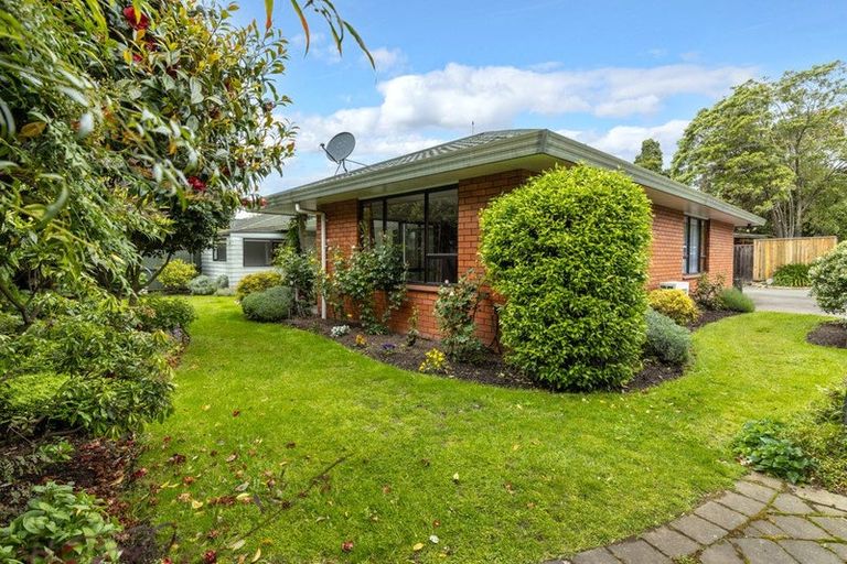 Photo of property in 28b Weld Street, Blenheim, 7201