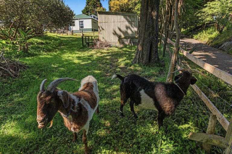 Photo of property in 113 Hogg Road, Rotoma, Whakatane, 3192