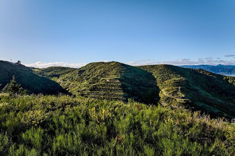 Photo of property in 33 Grumman Lane, Newlands, Wellington, 6037