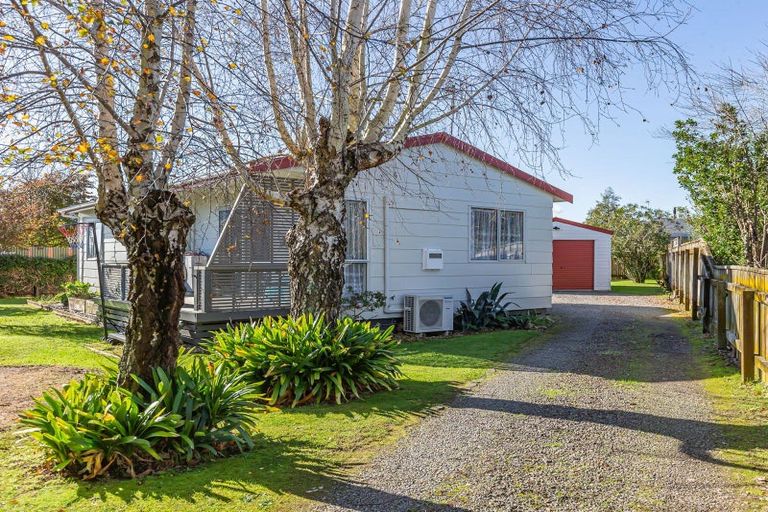 Photo of property in 41 Green Avenue, Levin, 5510