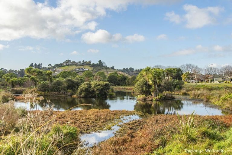 Photo of property in 66 Saint Pauls Drive, Brookfield, Tauranga, 3110