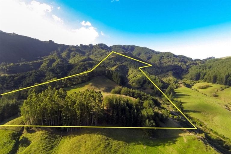 Photo of property in 572 Riwaka Valley Road, Riwaka, Motueka, 7198