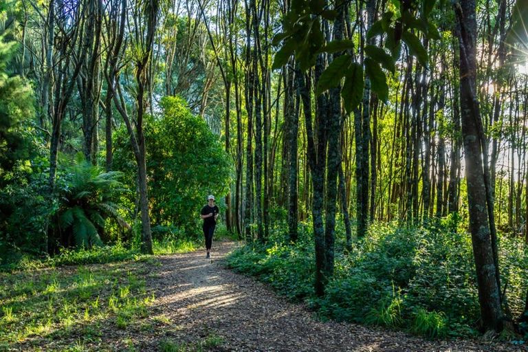 Photo of property in 8 Ribbonwood Lane, Kinloch, 3377