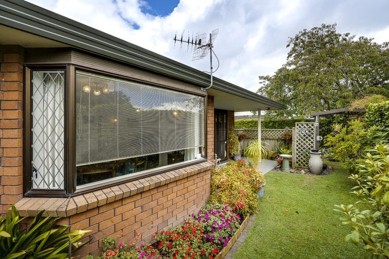 Photo of property in 706a York Street, Mahora, Hastings, 4120