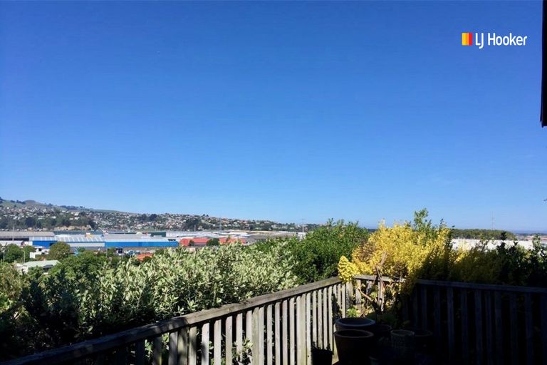 Photo of property in 24 Maitland Street, Dunedin Central, Dunedin, 9016