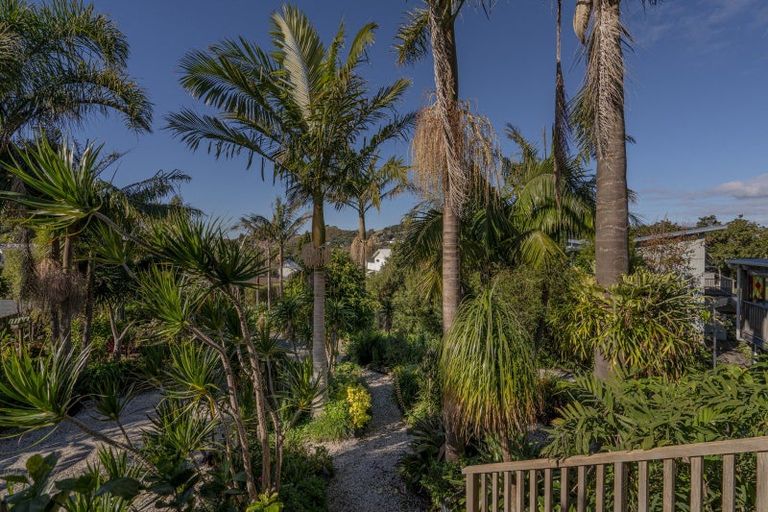 Photo of property in 19 Grange Road, Hahei, Whitianga, 3591