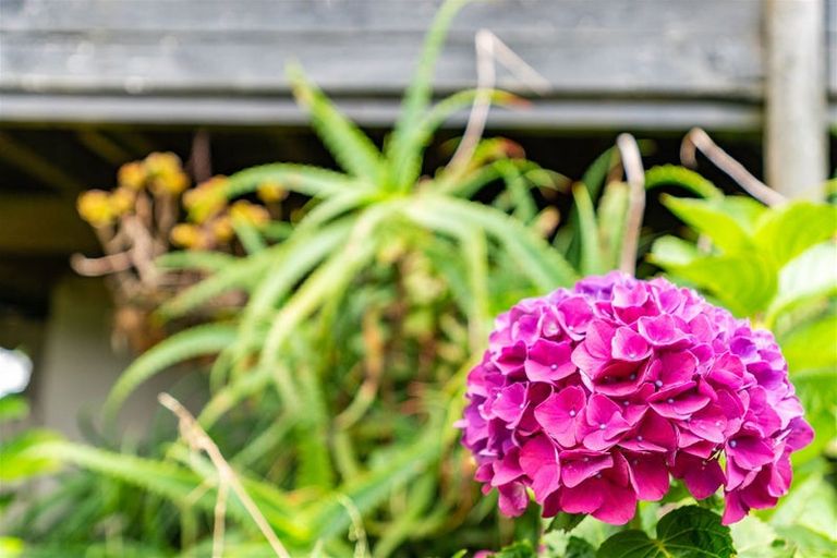 Photo of property in 35 Olsen Avenue, Mangawhai Heads, Mangawhai, 0505