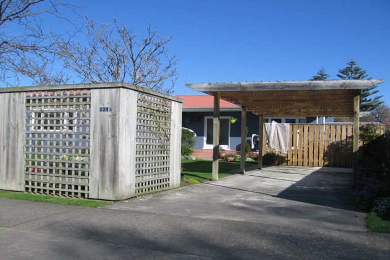 Photo of property in 224a Vogel Street, Roslyn, Palmerston North, 4414
