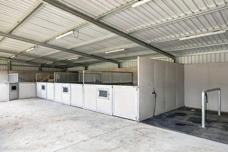 Photo of property in 184 Butcher Road, Reporoa, 3083
