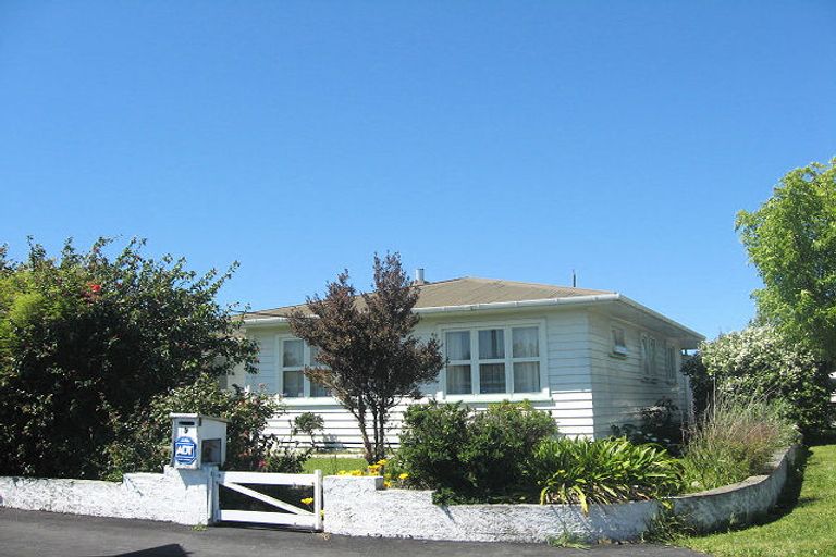 Photo of property in 9 Elzy Street, Blenheim, 7201