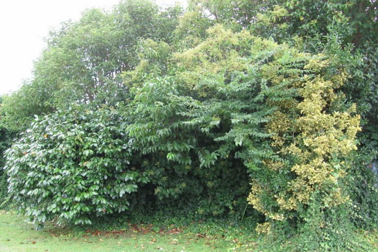 Photo of property in 3/42 Lincoln Road, Henderson, Auckland, 0610