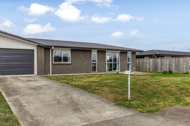 Photo of property in 85 Hinemoa Street, Levin, 5510